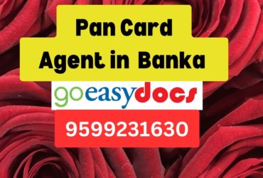 Pan Card Agent Consultant in Banka   8851415812