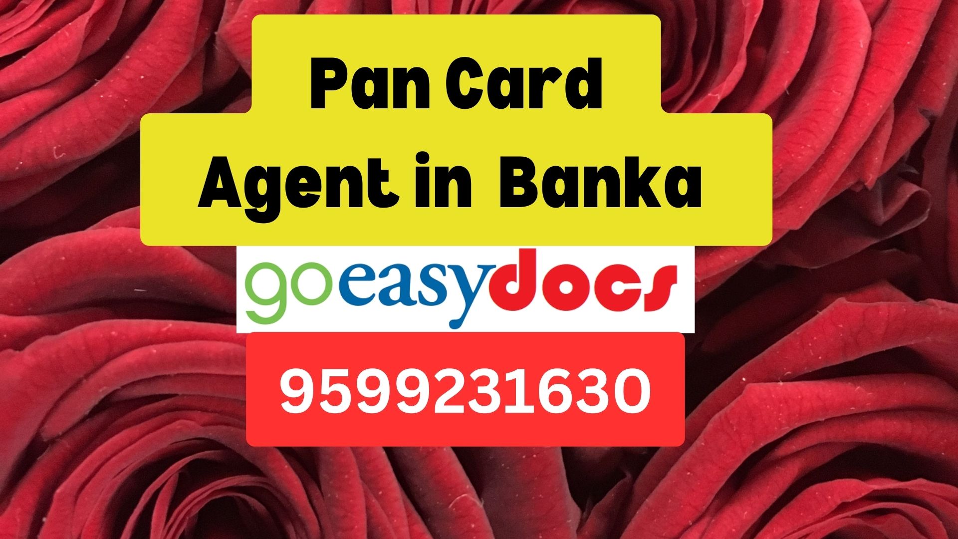 Pan Card Agent Consultant in Banka   8851415812