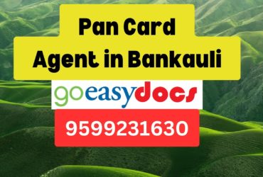 Pan Card Agent Consultant in Bankauli 8851415812