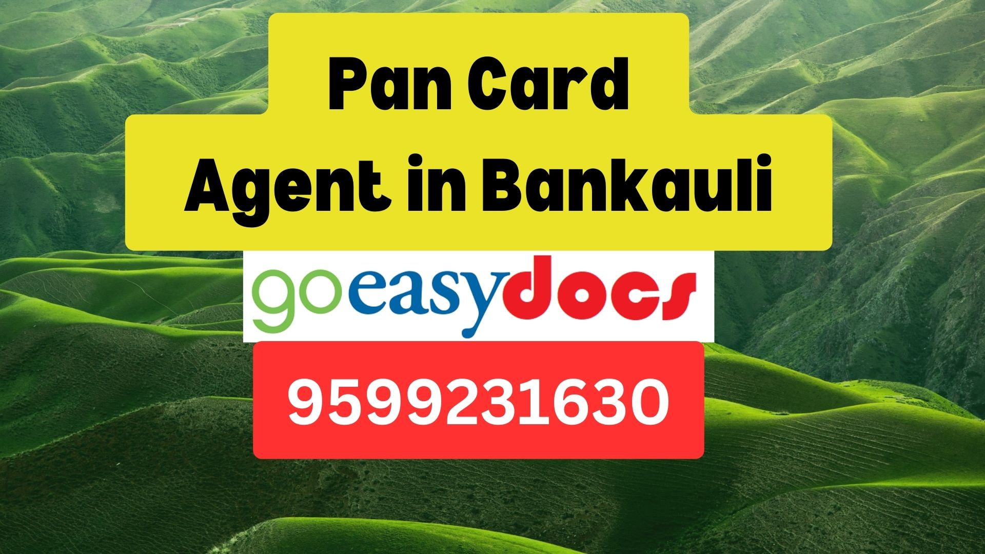 Pan Card Agent Consultant in Bankauli 8851415812