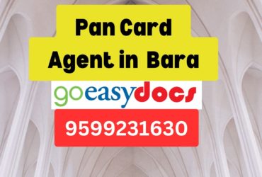 Pan Card Agent Consultant in Bara  8851415812