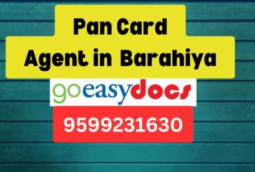 Pan Card Agent Consultant in Barahiya  8851415812