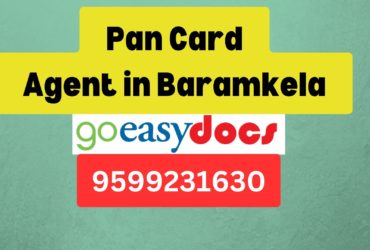 Pan Card Agent Consultant in Baramkela 8851415812