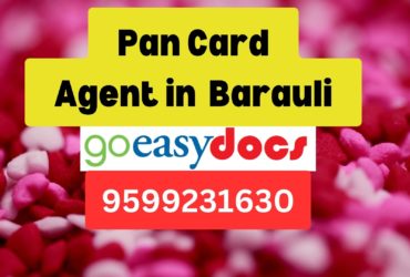 Pan Card Agent Consultant in Barauli  8851415812