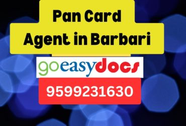 Pan Card Agent Consultant in Barbari   8851415812