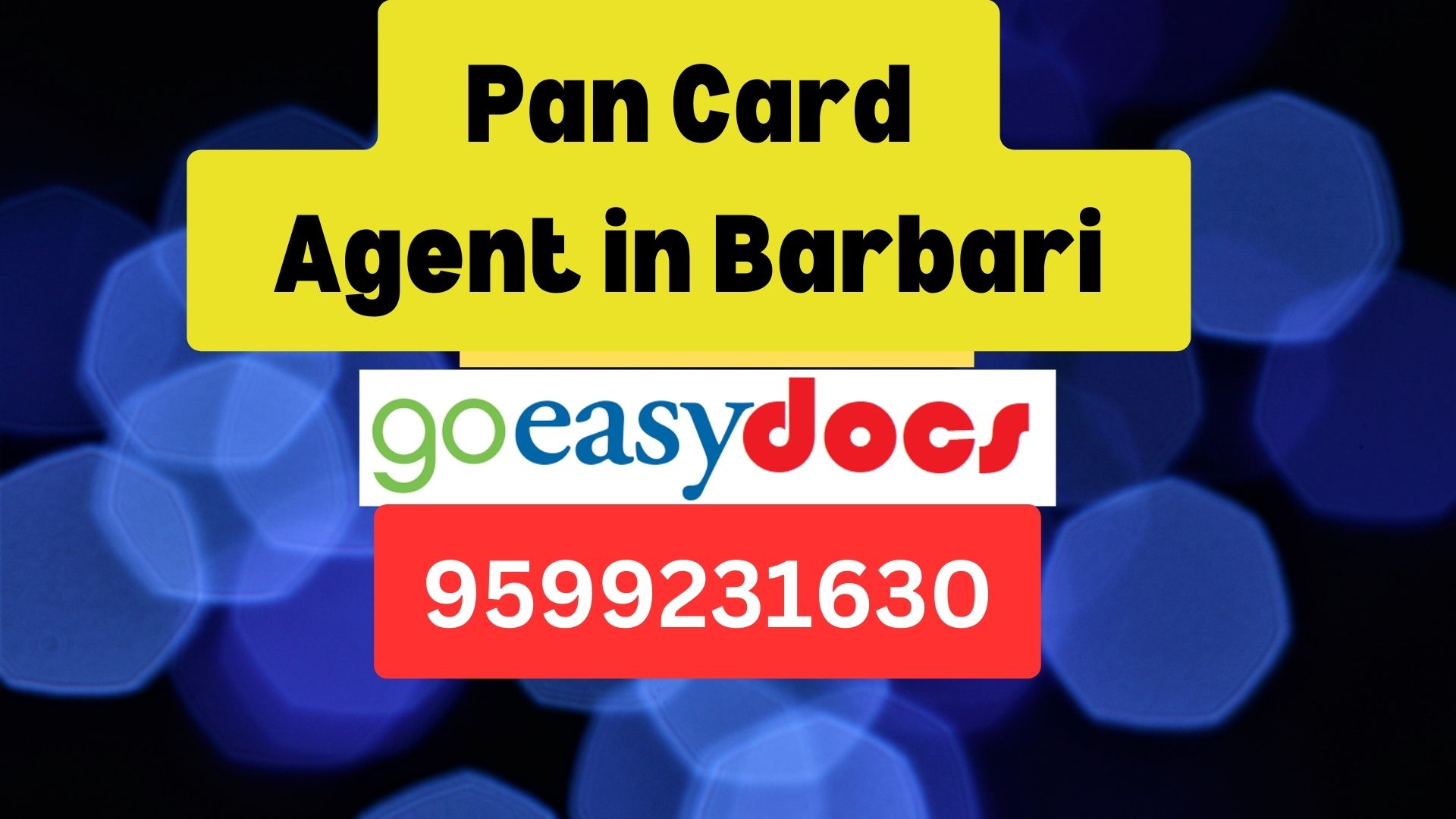 Pan Card Agent Consultant in Barbari   8851415812