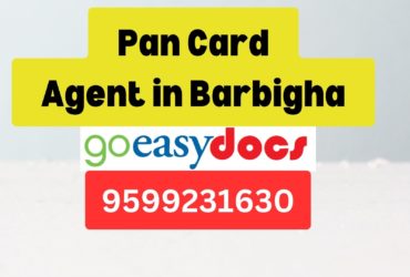 Pan Card Agent Consultant in Barbigha 8851415812