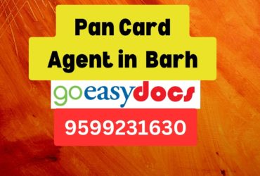 Pan Card Agent Consultant in Barh  8851415812