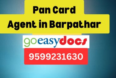 Pan Card Agent Consultant in Barpathar  8851415812