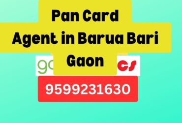 Pan Card Agent Consultant in Barua Bari Gaon  8851415812