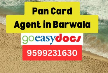 Pan Card Agent Consultant in Barwala 8851415812