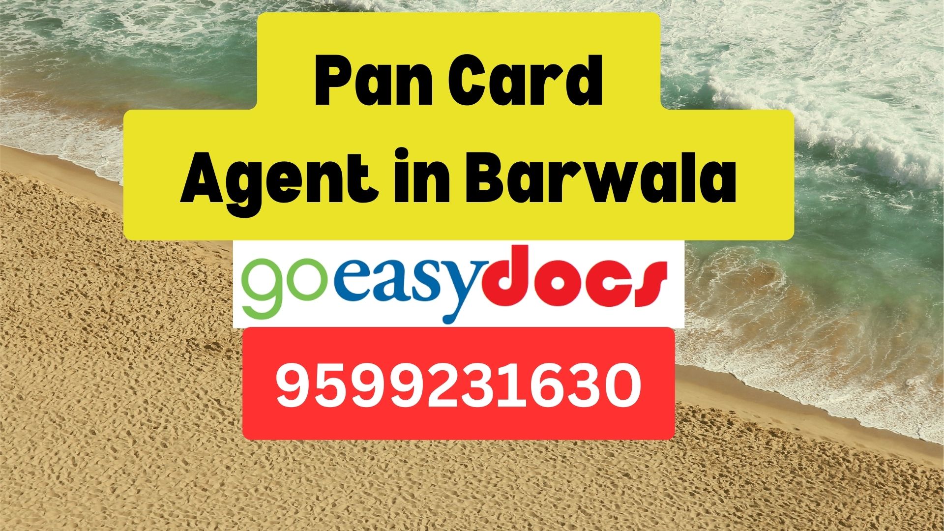 Pan Card Agent Consultant in Barwala 8851415812