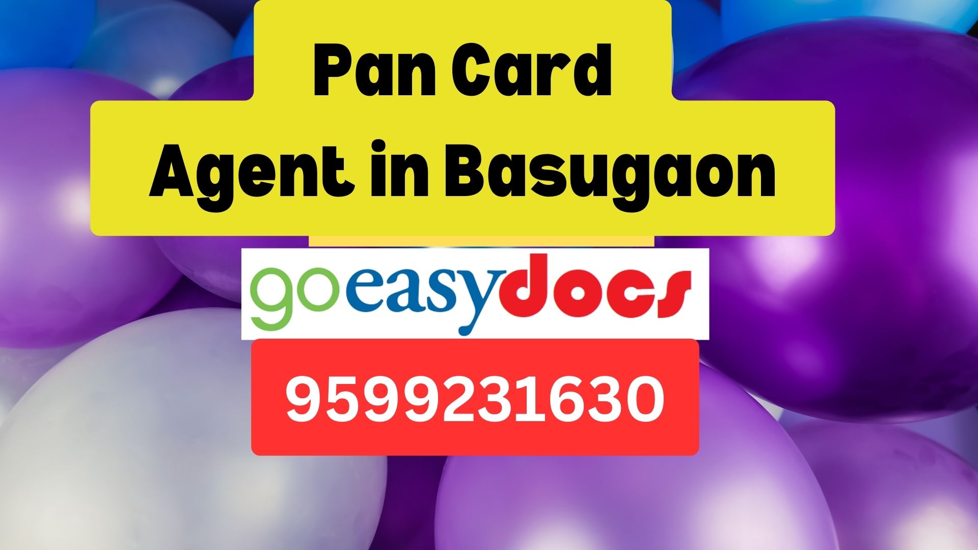 Pan Card Agent Consultant in Basugaon  8851415812