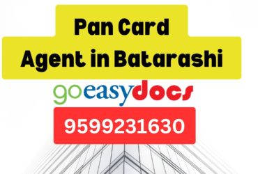 Pan Card Agent Consultant in Batarashi  8851415812