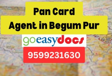 Pan Card Agent Consultant in Begum Pur 8851415812