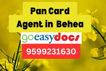 Pan Card Agent Consultant in Behea  8851415812