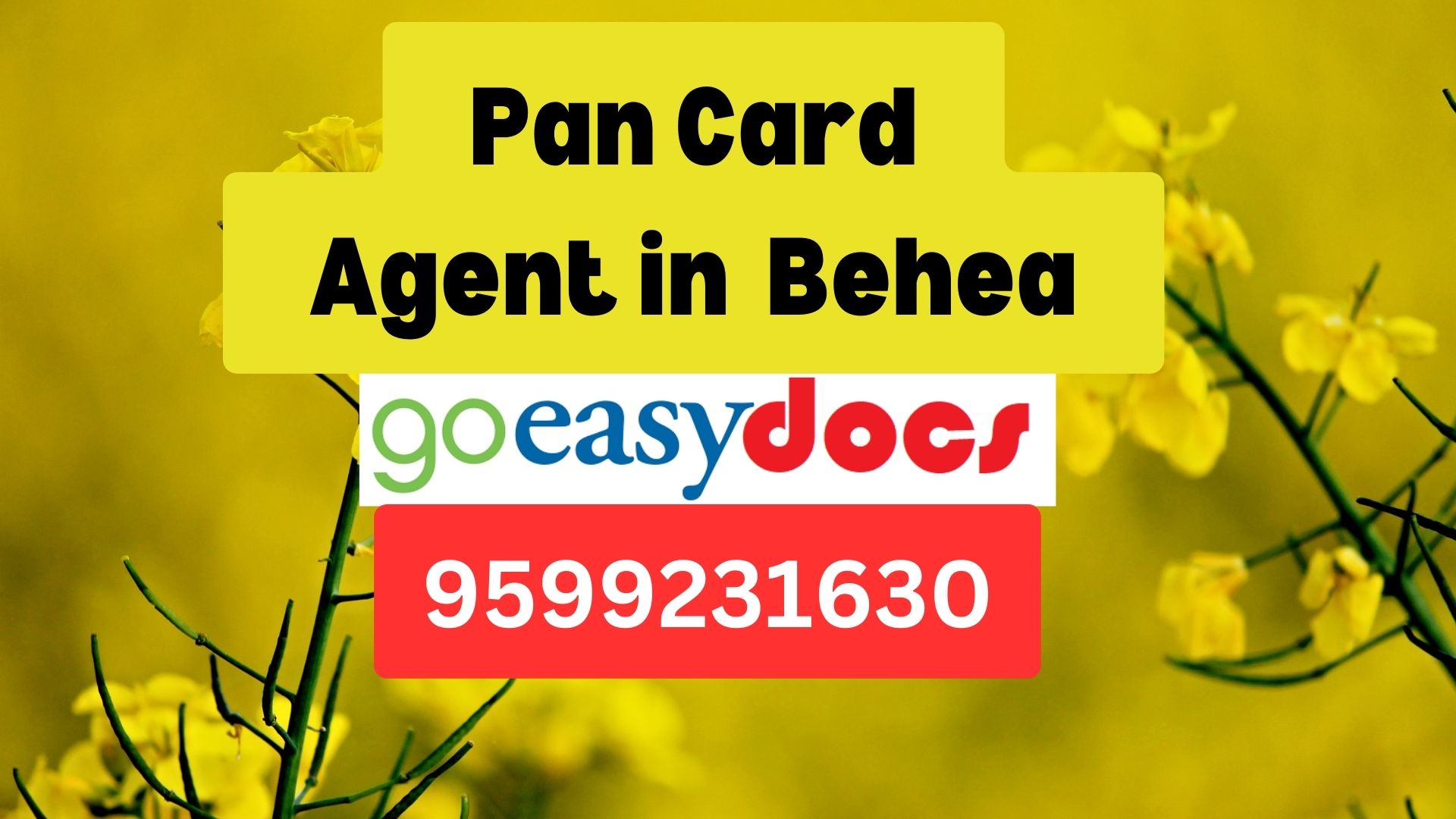 Pan Card Agent Consultant in Behea  8851415812