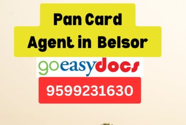 Pan Card Agent Consultant in Belsor  8851415812