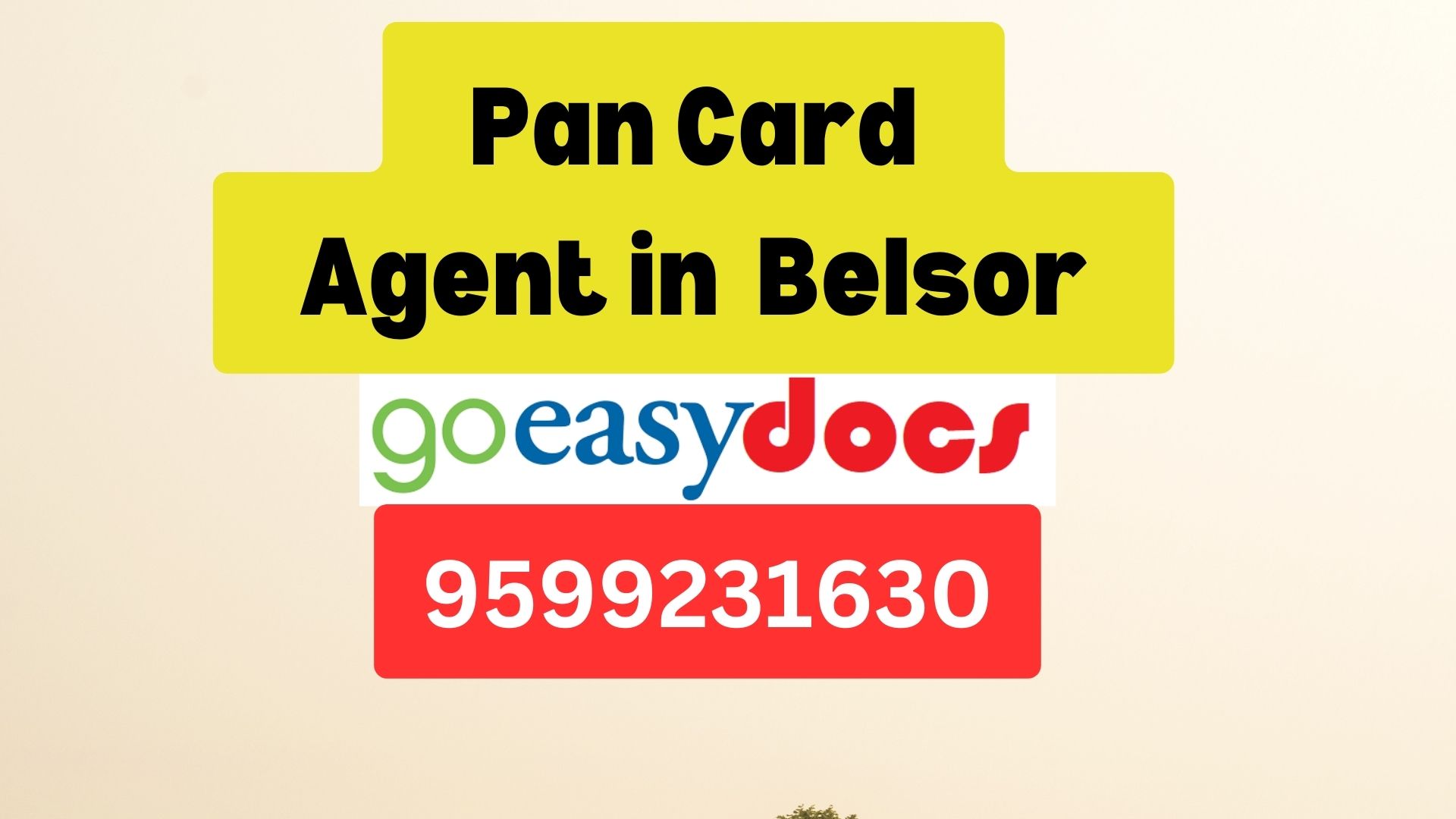 Pan Card Agent Consultant in Belsor  8851415812