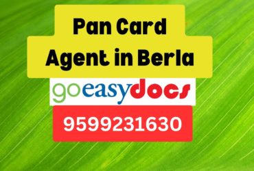 Pan Card Agent Consultant in Berla 8851415812