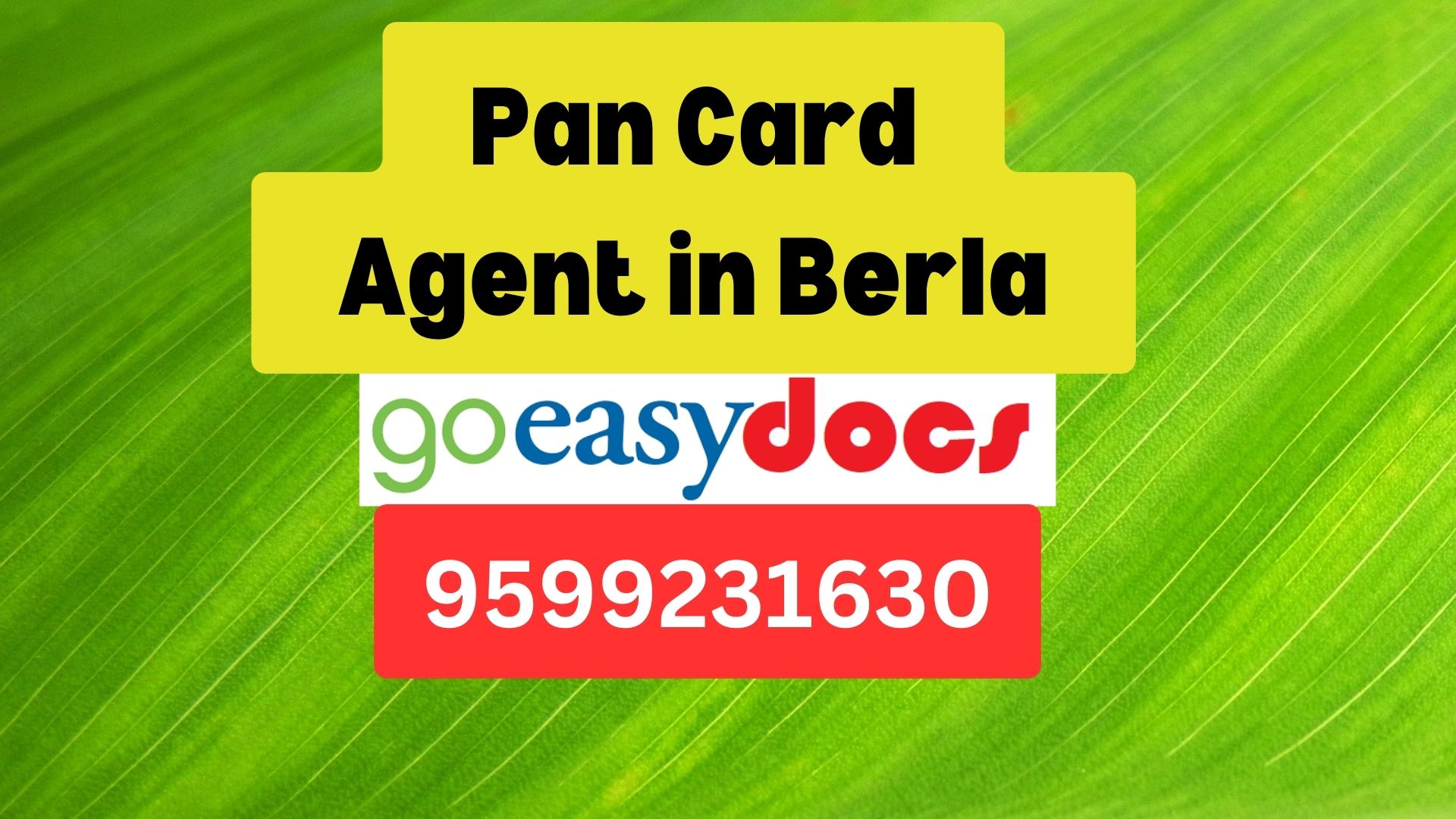 Pan Card Agent Consultant in Berla 8851415812