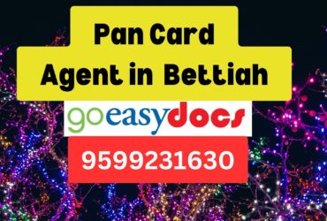 Pan Card Agent Consultant in Bettiah  8851415812