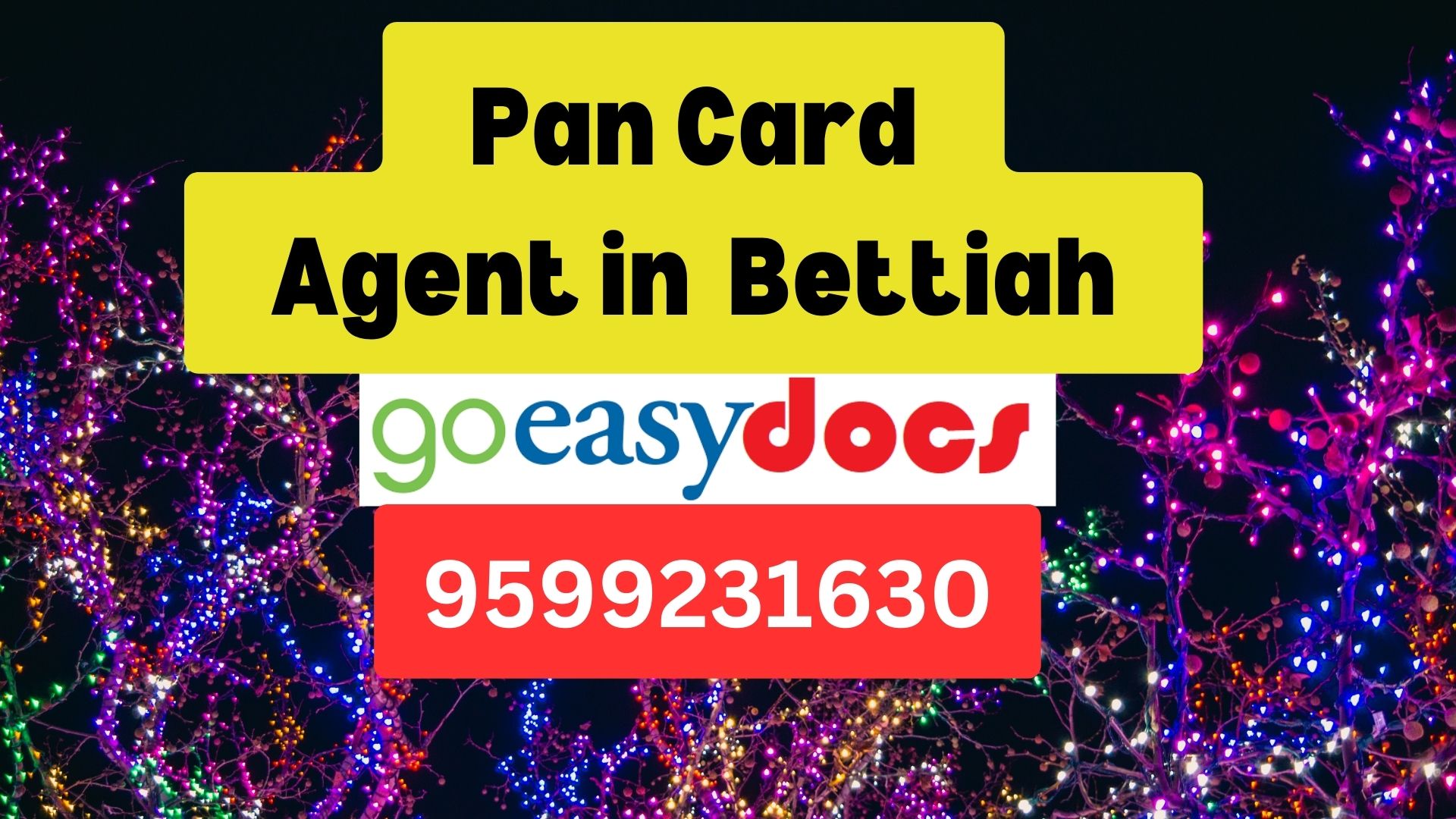 Pan Card Agent Consultant in Bettiah  8851415812