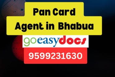 Pan Card Agent Consultant in Bhabua  8851415812