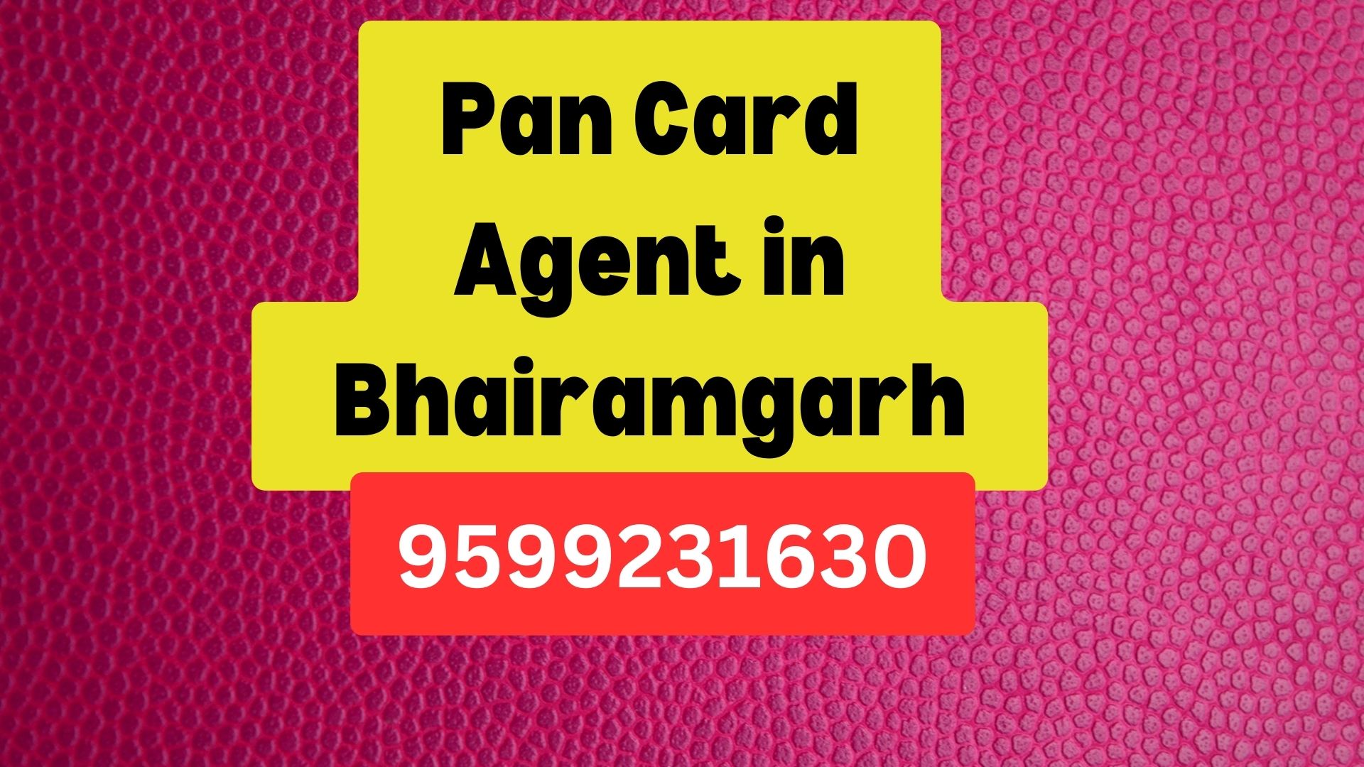 Pan Card Agent Consultant in Bhairamgarh 8851415812