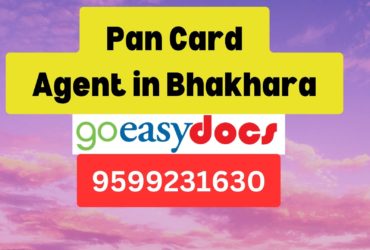 Pan Card Agent Consultant in Bhakhara 8851415812