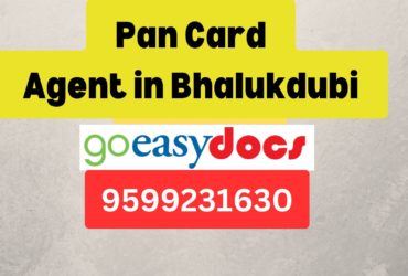 .Pan Card Agent Consultant in Bhalukdubi  8851415812