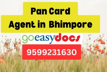 Pan Card Agent Consultant in Bhimpore 8851415812