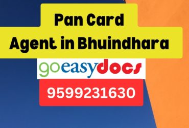 Pan Card Agent Consultant in Bhuindhara 8851415812