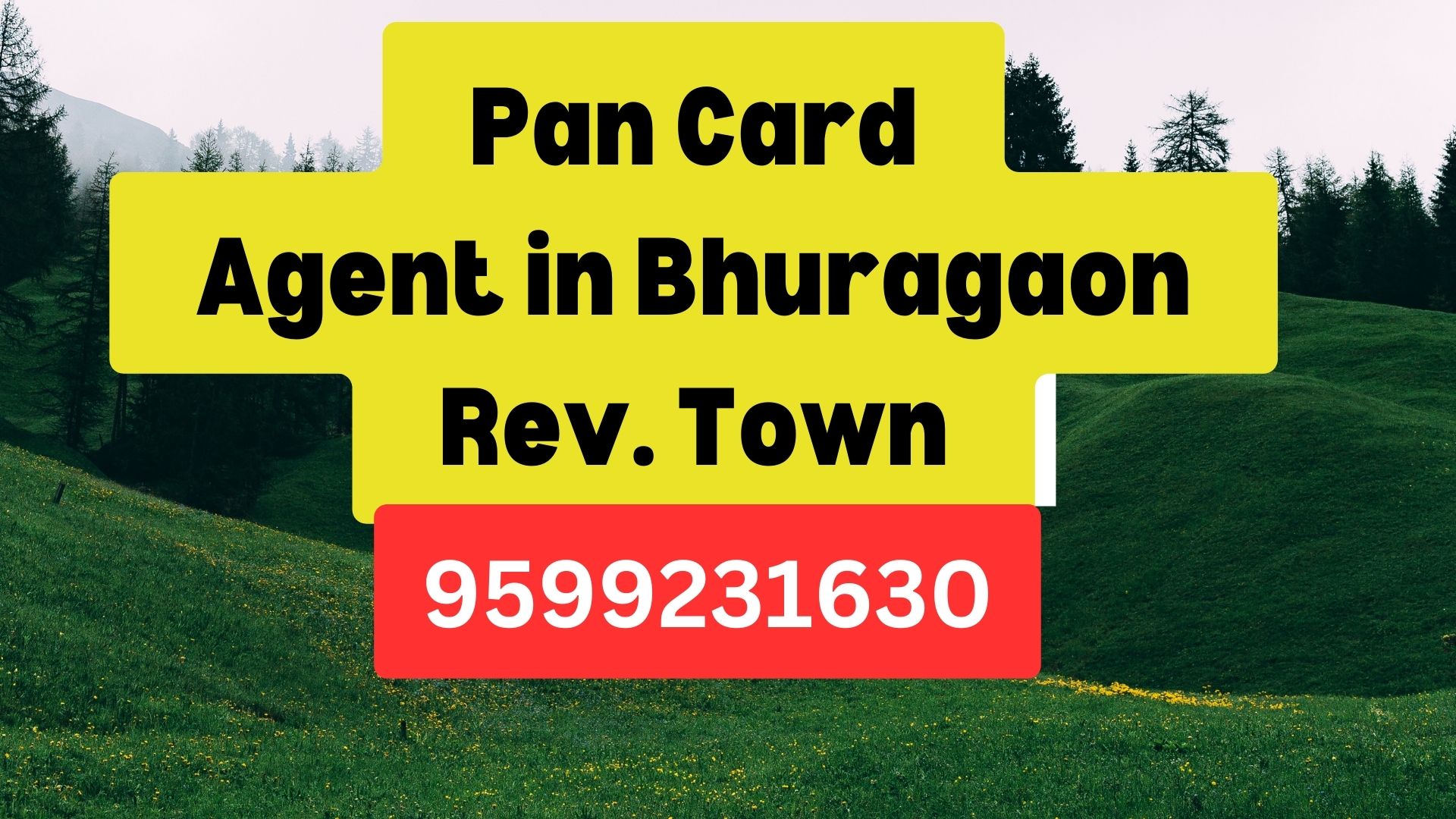 Pan Card Agent Consultant in Bhuragaon Rev. Town  8851415812