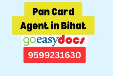 Pan Card Agent Consultant in Bihat  8851415812