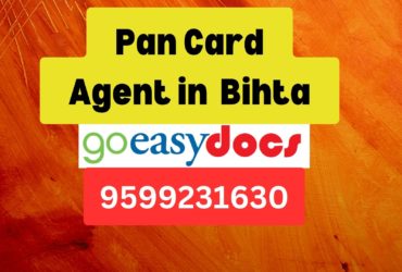 Pan Card Agent Consultant in Bihta  8851415812