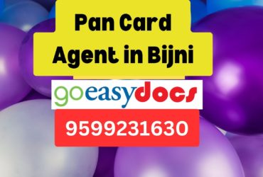 Pan Card Agent Consultant in Bijni  8851415812