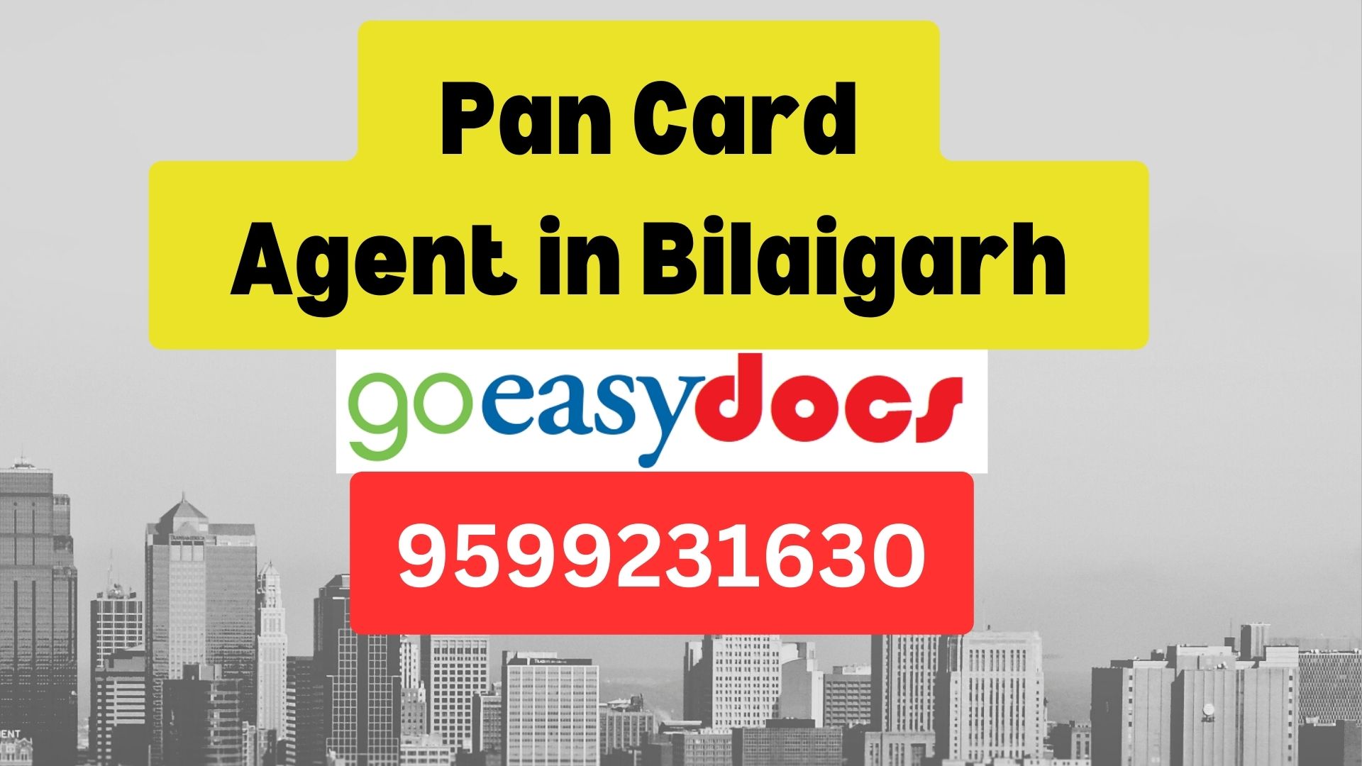 Pan Card Agent Consultant in Bilaigarh 8851415812