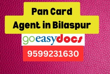 Pan Card Agent Consultant in Bilaspur 8851415812