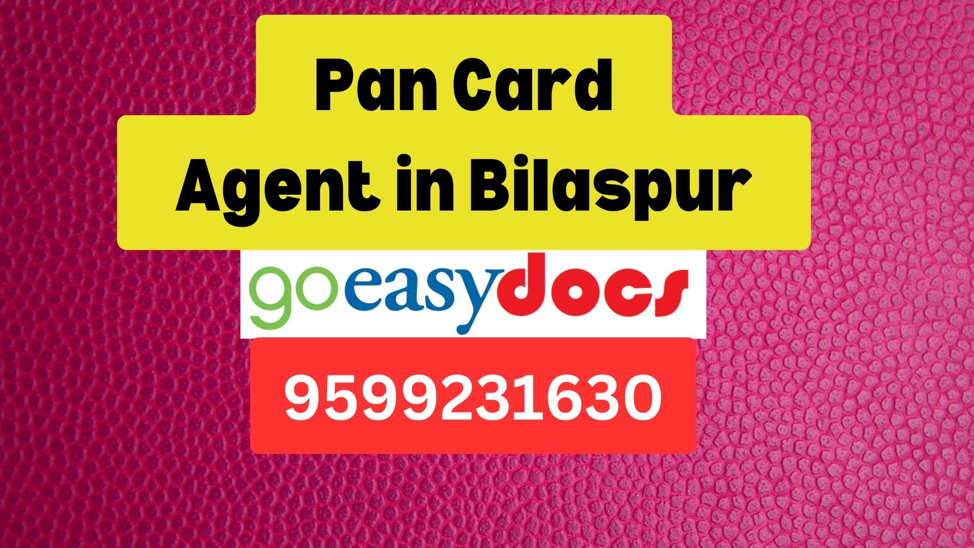 Pan Card Agent Consultant in Bilaspur 8851415812