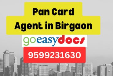 Pan Card Agent Consultant in Birgaon 8851415812