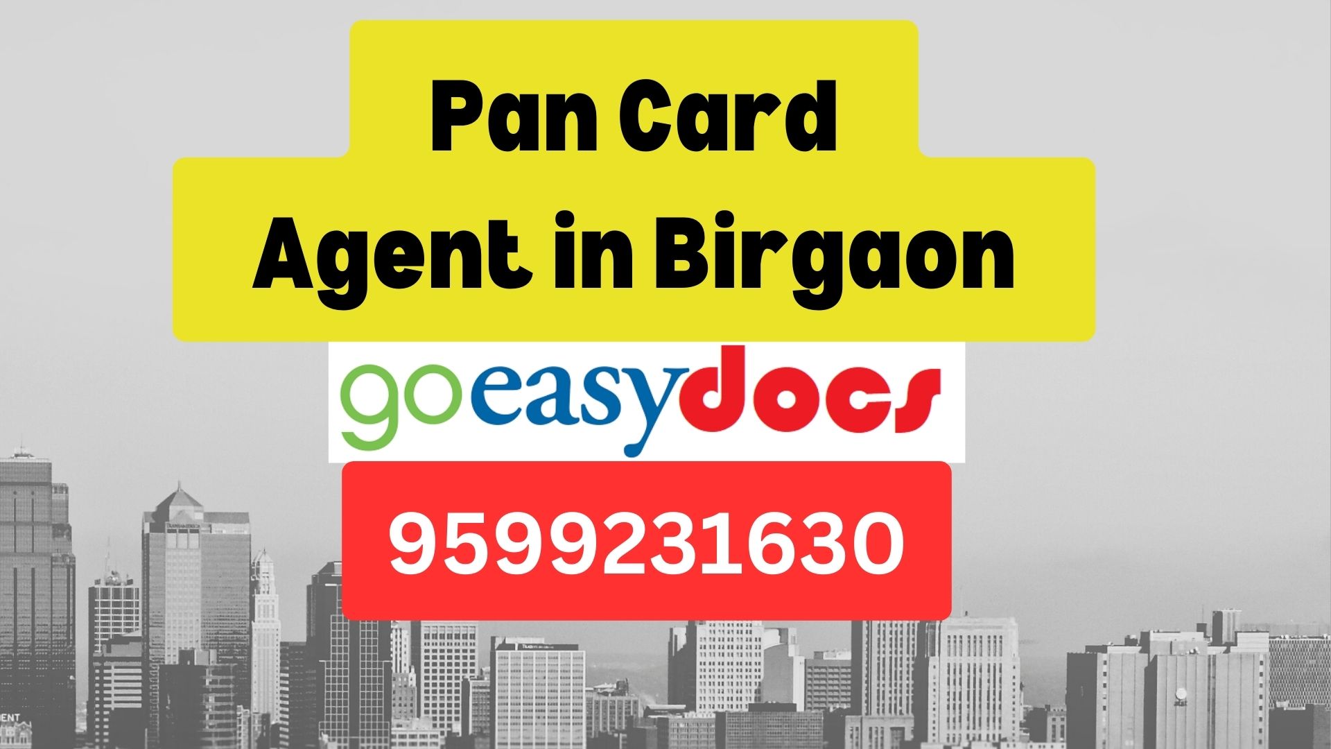 Pan Card Agent Consultant in Birgaon 8851415812