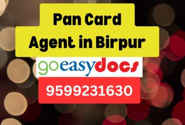 Pan Card Agent Consultant in Birpur 8851415812