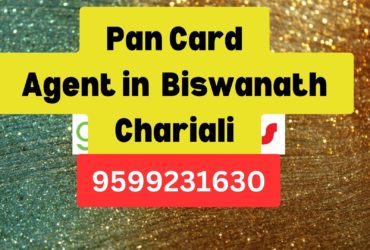 Pan Card Agent Consultant in Biswanath Chariali  8851415812