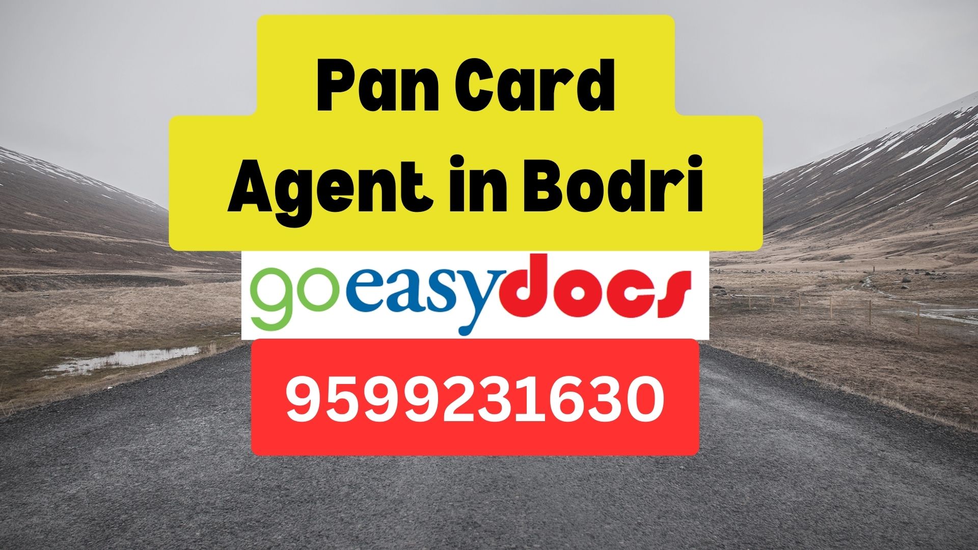 Pan Card Agent Consultant in Bodri 8851415812