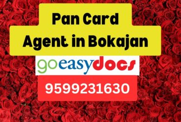 Pan Card Agent Consultant in Bokajan  8851415812