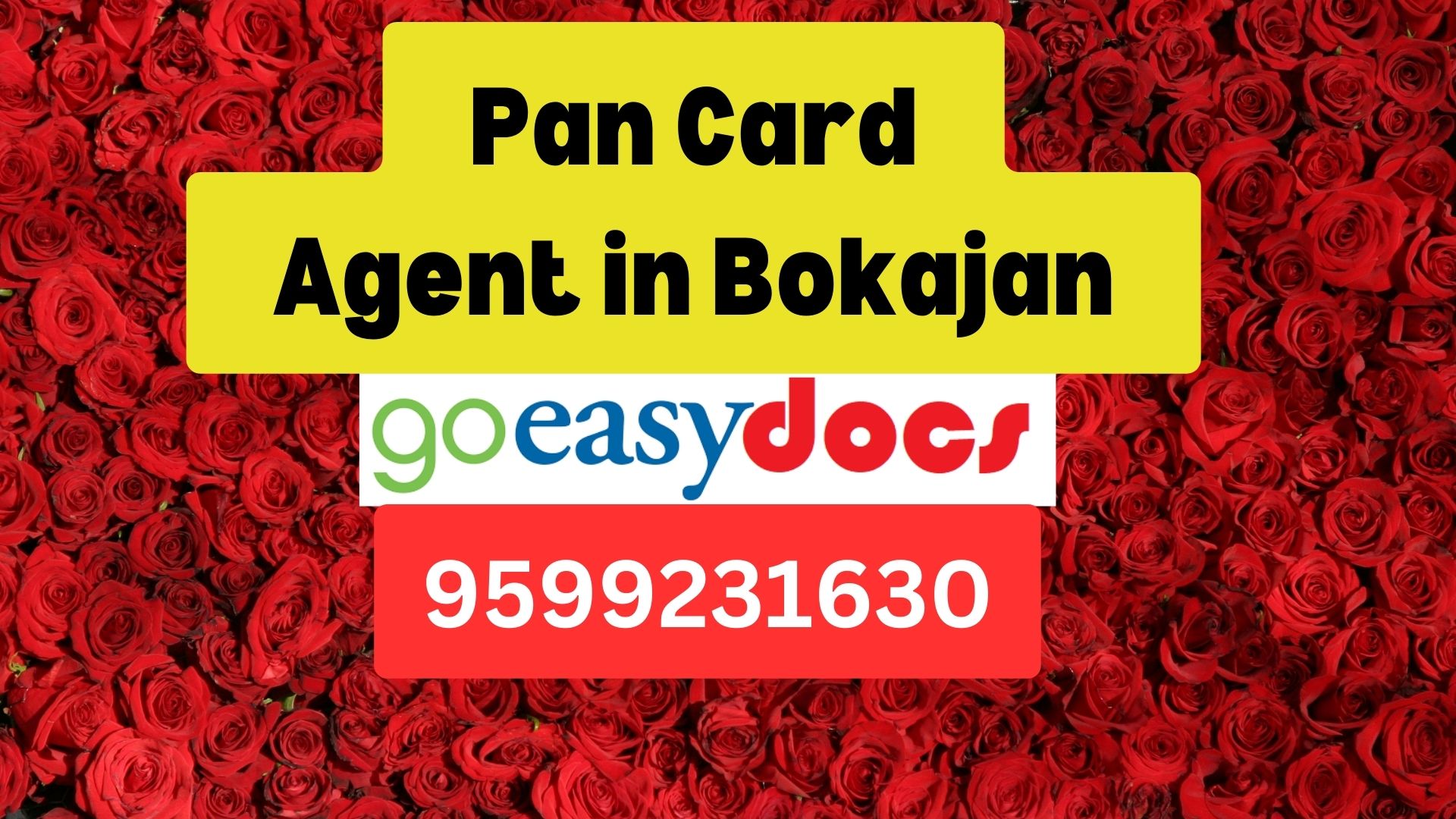 Pan Card Agent Consultant in Bokajan  8851415812