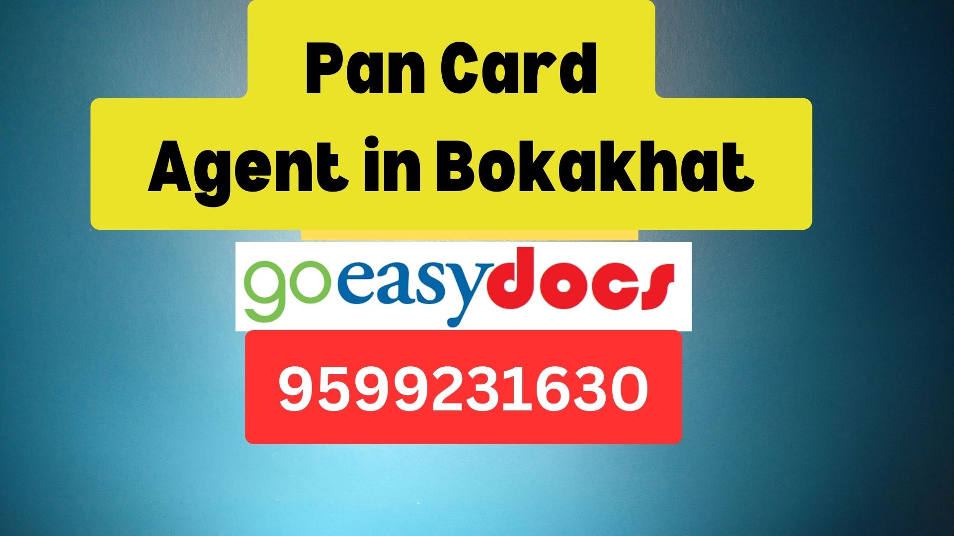 Pan Card Agent Consultant in Bokakhat  8851415812