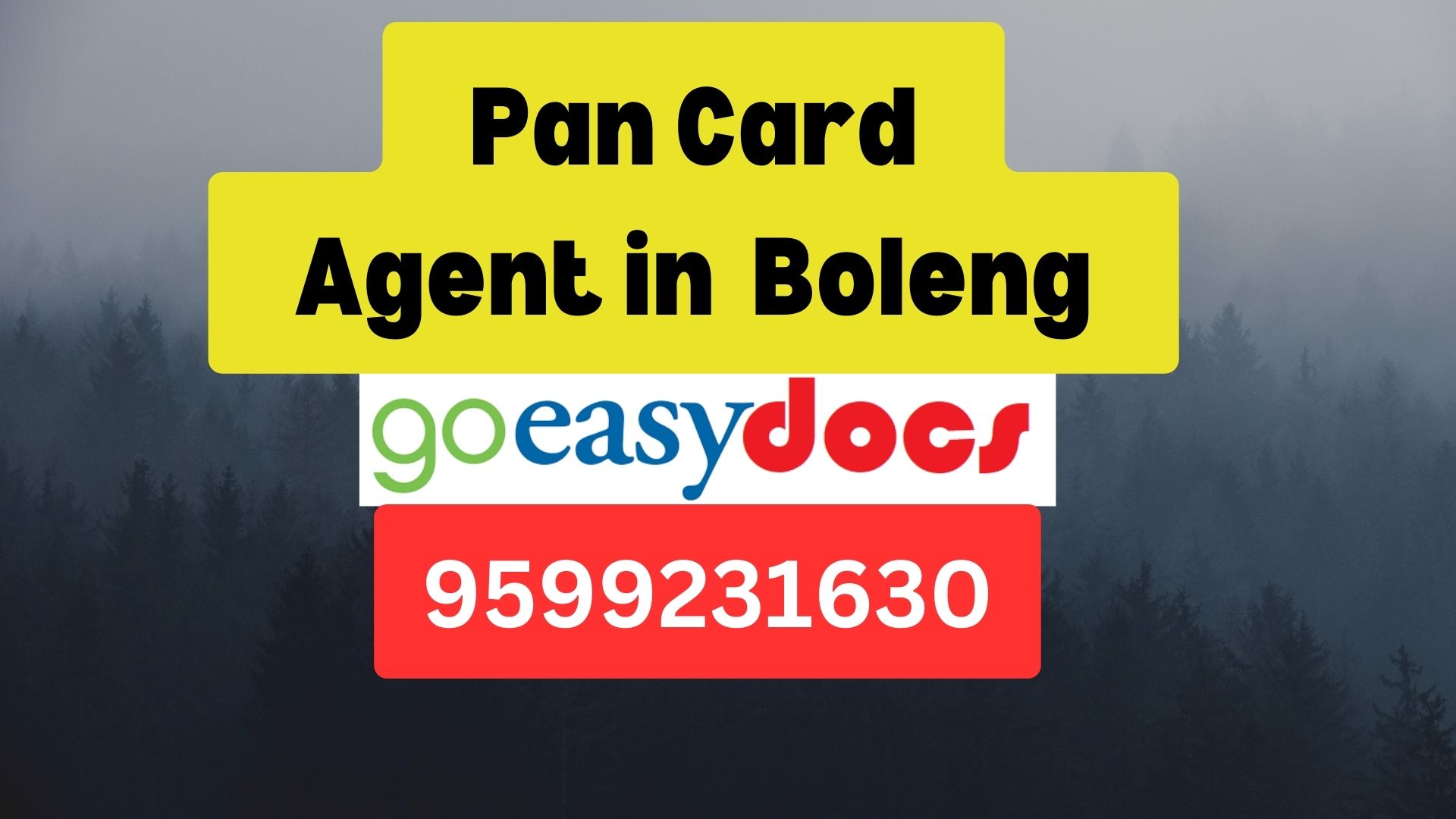 Pan Card Agent Consultant in Boleng  8851415812