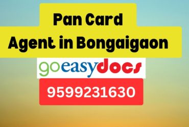 Pan Card Agent Consultant in Bongaigaon  8851415812